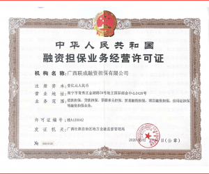 怎么开具融资担保公司的投标保函？