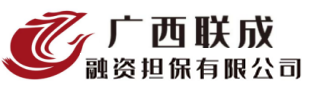 广西联成融资担保有限公司
