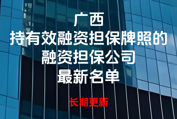 截止2026年9月广西持有效融资担保经营许可证的公司
