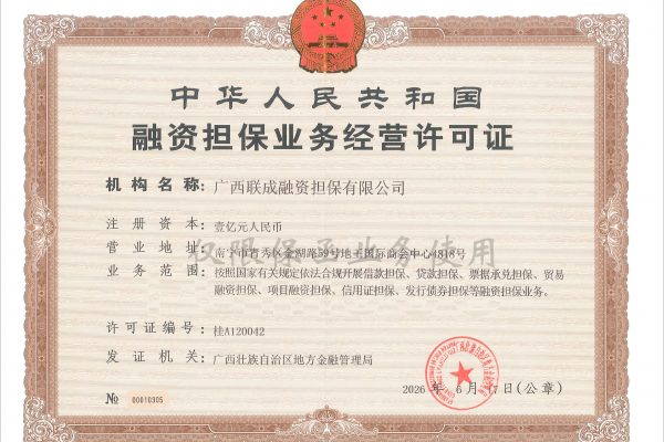 融资担保公司可以开保函吗？政府回答：可以！